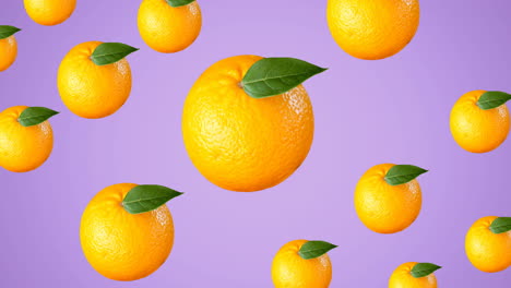 Animation-of-single-oranges-floating-on-purple-background