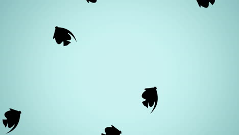 Animation-of-black-fish-on-blue-background