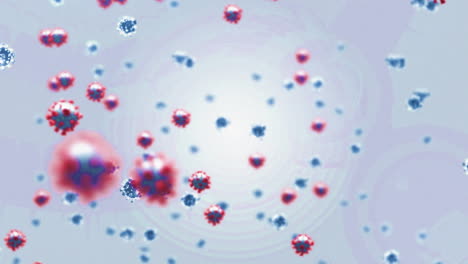 Digitale-Animation-Mehrerer-Blauer-Und-Roter-Covid-19-Zellen,-Die-Vor-Grauem-Hintergrund-Schweben