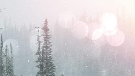 Animation-Leuchtender-Lichtpunkte-über-Winterlicher-Landschaft