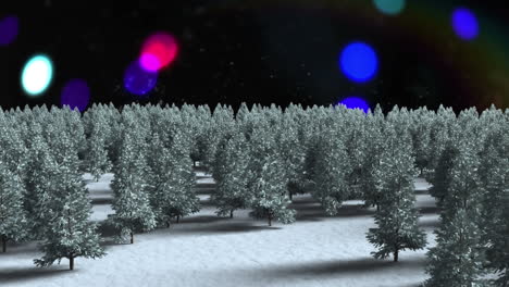 Snow-covered-trees-on-winter-landscape-against-colorful-spots-of-light-on-black-background