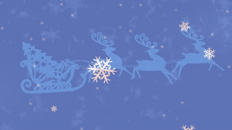 Snowflakes-floating-against-christmas-tree-in-sleigh-being-pulled-by-reindeers-on-blue-background