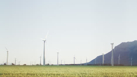 Gesamtansicht-Von-Windkraftanlagen-In-Ländlicher-Landschaft-Mit-Wolkenlosem-Himmel