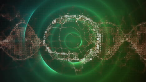 Animation-of-digital-brain-over-trails-and-green-circles
