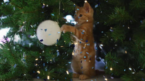 Animation-Von-Konfetti,-Das-über-Ein-Kätzchen-Fällt,-Das-Mit-Einer-Weißen-Kugel-Am-Weihnachtsbaum-Spielt