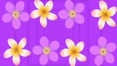 Animation-of-purple-and-yellow-flowers-spinning-over-purple-background