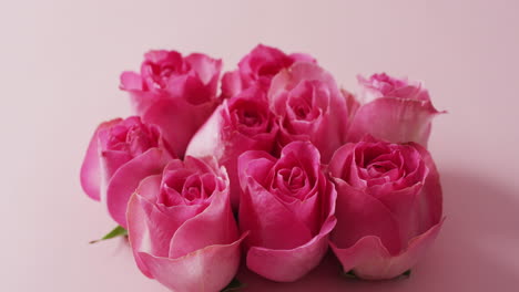 Strauß-Rosa-Rosen-Auf-Rosa-Hintergrund-Am-Valentinstag