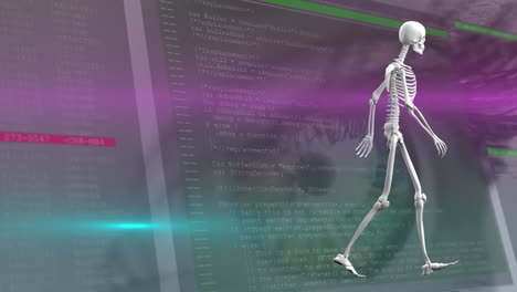 Animation-of-data-processing-and-digital-skeleton-over-eye