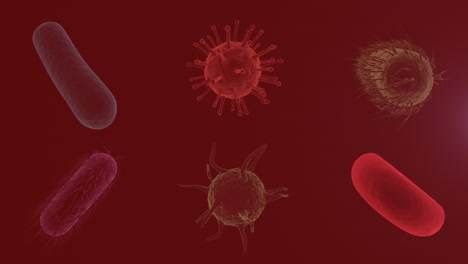 Animation-of-moving-cells-over-red-background