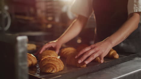 Animation-of-hands-of-asian-female-baker-arranging-croissants-on-tray