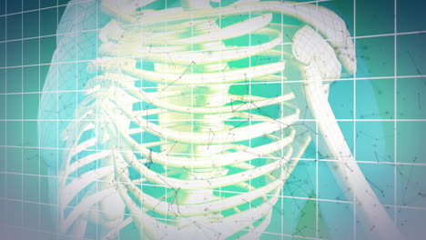 Animation-Von-Skelett-Und-Gitter-Auf-Blauem-Hintergrund