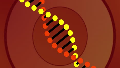 Animation-of-dna-strand-and-red-circles-on-red-background