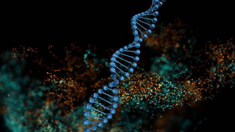 Digitale-Animation-Einer-DNA-Struktur,-Die-Sich-Gegen-Eine-Digitale-Welle-Auf-Schwarzem-Hintergrund-Dreht