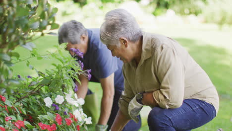 Video-Eines-Glücklichen-Gemischtrassigen-älteren-Paares,-Das-Sich-Um-Pflanzen-Im-Garten-Kümmert
