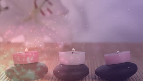Animation-of-light-spots-over-candles-and-flower