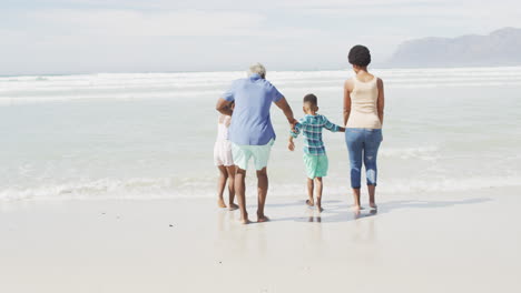 Afroamerikanisches-Paar-Geht-Mit-Kindern-Am-Sonnigen-Strand-Spazieren