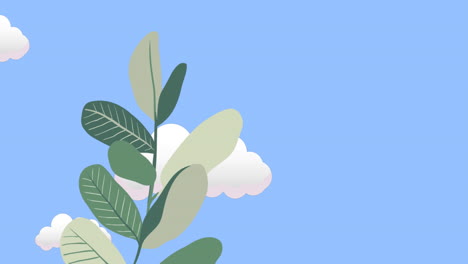 Animation-of-plant-over-sky-with-clouds