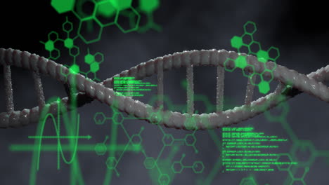 Animation-Von-DNA,-Die-Sich-über-Chemische-Formeln-Und-Datenverarbeitung-Auf-Grauem-Hintergrund-Dreht