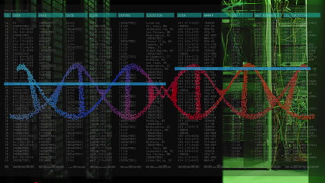 Animation-Der-Datenverarbeitung-Und-Des-DNA-Strangs-über-Dem-Serverraum