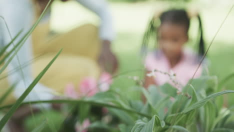 Happy-african-american-mother-and-daughter-planting-flowers-in-sunny-garden,-slow-motion