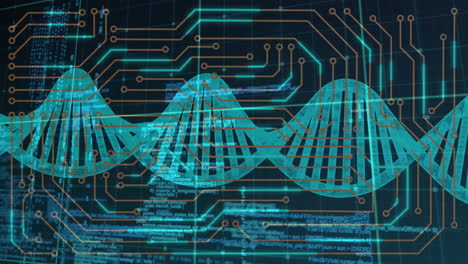 Animation-of-circuit-board-pattern-over-dna-helix-against-computer-language-on-black-background
