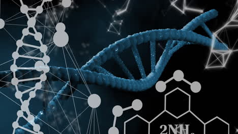 Animation-Chemischer-Strukturen-Und-Netzwerke-über-DNA-Strangspinnen