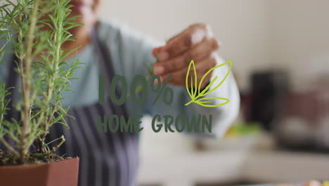 Animation-of-100-percent-home-grown-text-over-asian-senior-woman-cutting-herbs-at-home