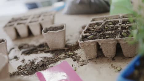 Close-up-of-seedlings,-biodegradable-seed-trays,-soil-and-trowel-on-table-top,-slow-motion