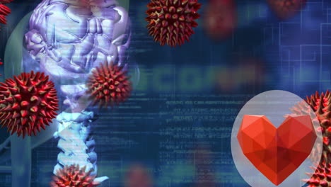 Animation-Von-Herzsymbolen-Und-Viruszellen-über-DNA-Strang-Und-Datenverarbeitung