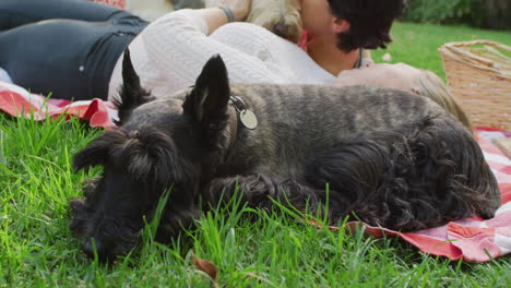 Caucasian-lesbian-couple-kissing-their-dog-while-lying-on-the-blanket-in-the-garden-during-picnic
