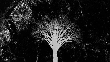 Animation-of-white-lightning-flashes-over-white-tree-on-black-background