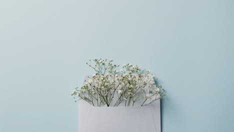 Video-Von-Weißen-Blumen-In-Weißem-Umschlag-Und-Kopierraum-Auf-Blauem-Hintergrund
