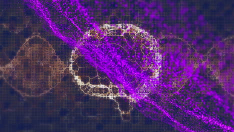 Animation-of-3d-neon-purple-particle-waves-moving,-human-brain,-dna-on-computer-graphic-background
