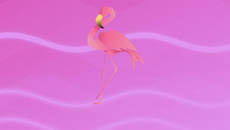 Animation-Des-Flamingo-Symbols-über-Formen-Auf-Rosa-Hintergrund