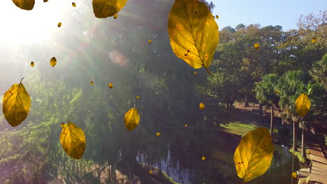 Animation-of-autumn-leaves-falling-against-aerial-view-of-park-during-a-sunny-day