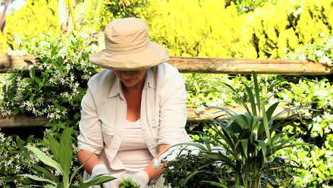 Mature-woman-potting-plants-in-the-garden