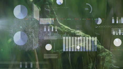 Animation-Von-Finanzdaten-Und-Grafiken-über-DNA-Im-Grünraum