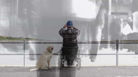 Animation-Von-Menschen,-Die-Auf-Der-Straße-über-Einen-Behinderten-Kuakasiatischen-Mann-Gehen,-Der-Im-Rollstuhl-Sitzt