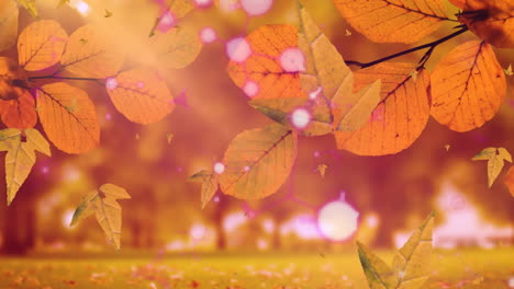 Animation-of-leaves-falling-over-shapes