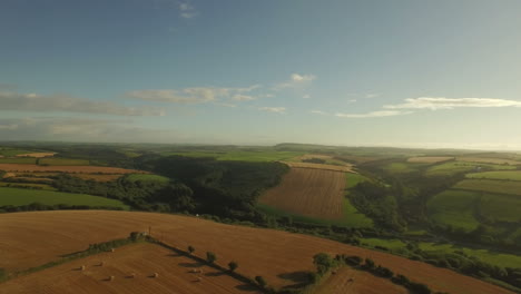 Drone-footage-of-golden-fields-