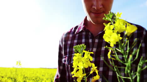 Happy-man-standing-in-mustard-field