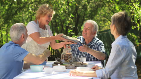 Senior-couples-having-breakfast-in-garden