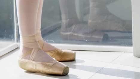Bailarines-De-Ballet-Pies-Realizando-Ballet-Danza