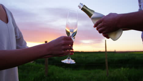 Close-up-of-couple-having-champagne-in-field