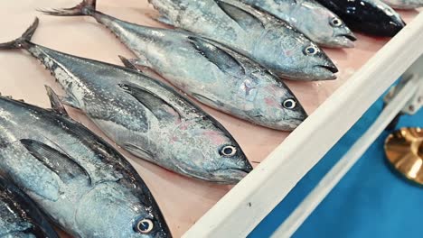 Fresh-white-tuna-fish-on-display-for-sale-in-a-fish-market