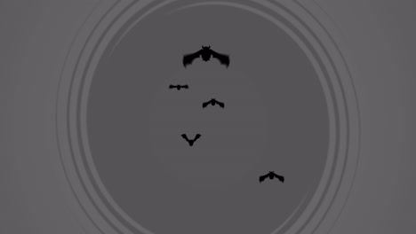 Animation-of-halloween-bats-over-moving-grey-background
