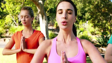 Frauen-Machen-Yoga-Im-Park