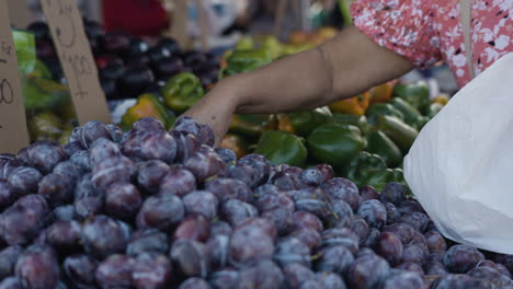 Slow-motion-shot-of-a-customer-picking-up-plums-to-buy-from-a-farmers-market