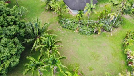 Vista-Panorámica-Del-Retiro-Botánico-Y-La-Casa-Fuera-De-La-Red-De-La-Jungla-En-La-Isla-De-Hawaii