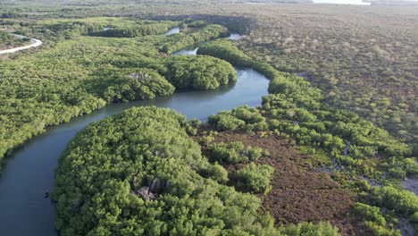 Natural-freshwater-river-in-green-environment,-aerial-dolly-forward,-haiti